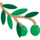 olive (1) olive (1)